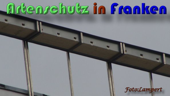 Copyright AiS Lampert Bild zum Eintrag (59620-160)