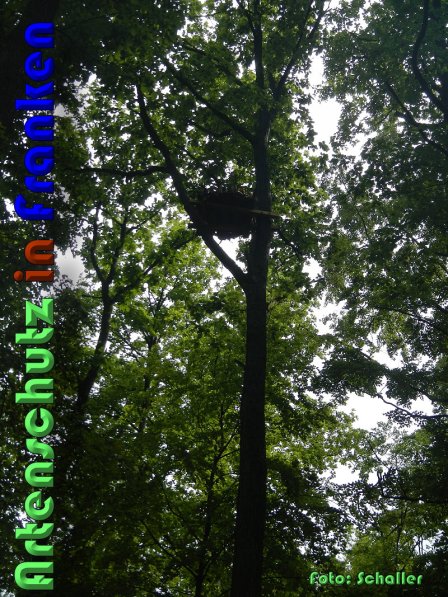 Copyright AiS Schaller Bild zum Eintrag (59628-160)