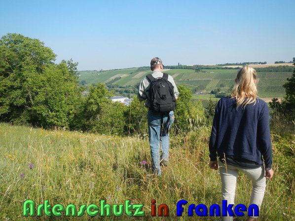 Bild zum Eintrag (59739-160)