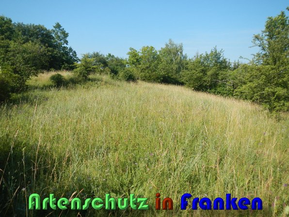 Bild zum Eintrag (59740-160)