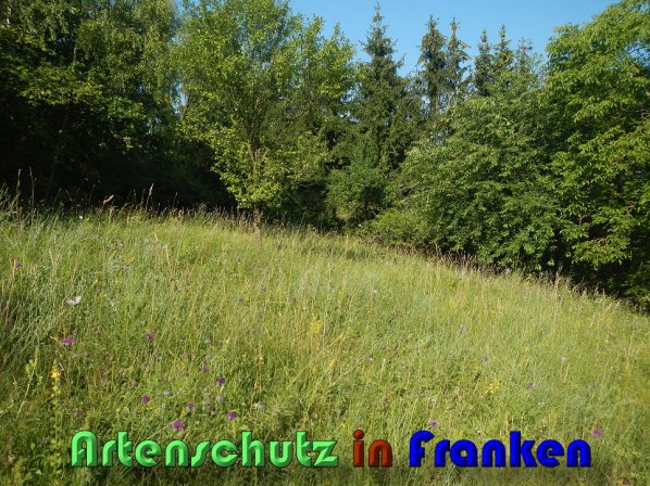 Bild zum Eintrag (59753-160)