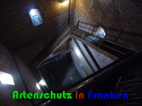 Bild zum Eintrag (60370-160)