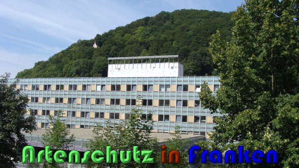 Copyright AiS Lampert Bild zum Eintrag (60627-160)