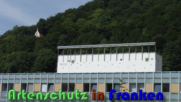 Copyright AiS Lampert Bild zum Eintrag (60628-160)