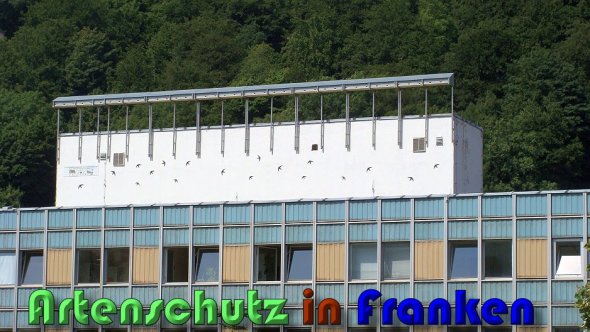 Copyright AiS Lampert Bild zum Eintrag (60629-160)