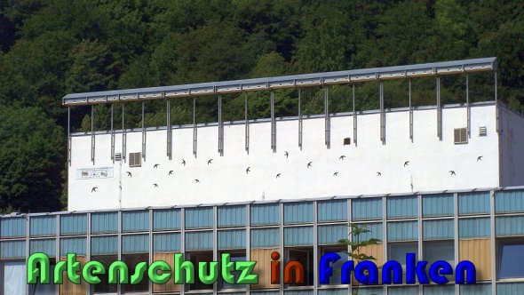 Copyright AiS Lampert Bild zum Eintrag (60630-160)