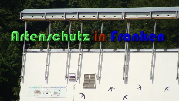 Copyright AiS Lampert Bild zum Eintrag (60631-160)