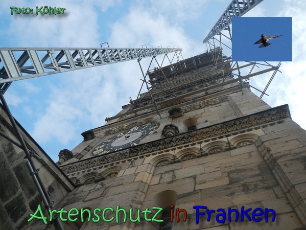 Copyright AiS Köhler Bild zum Eintrag (61971-160)