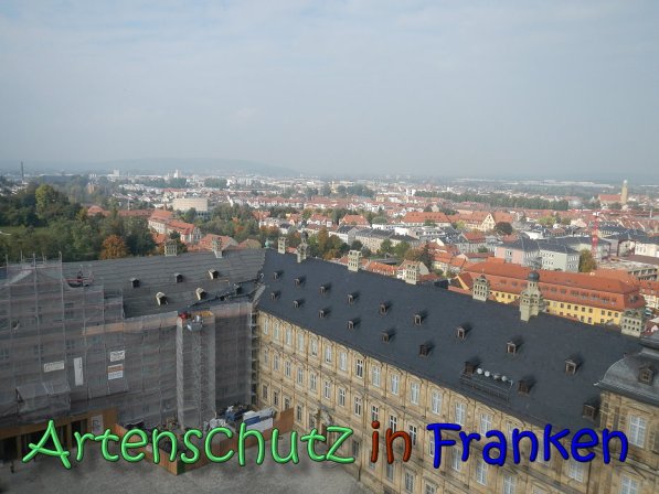 Bild zum Eintrag (61976-160)
