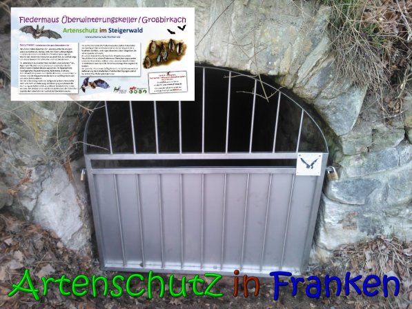 Copyright AiS - Oppel Bild zum Eintrag (63030-160)