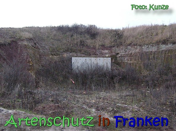 Bild zum Eintrag (63101-160)