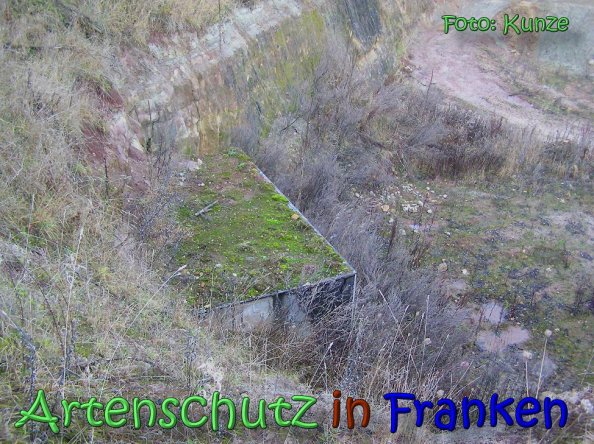 Bild zum Eintrag (63102-160)
