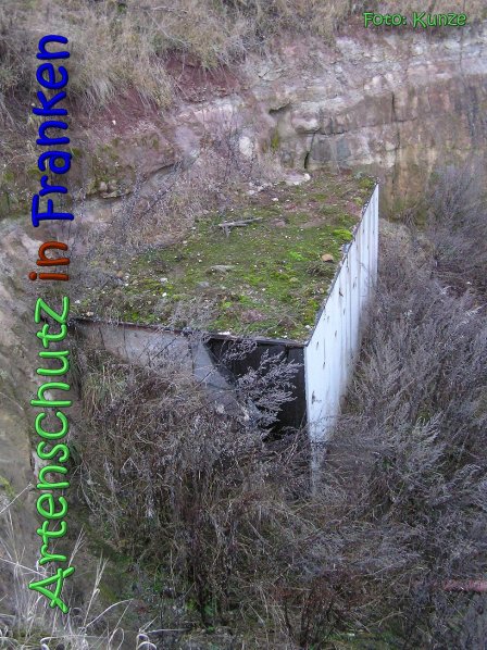 Bild zum Eintrag (63103-160)