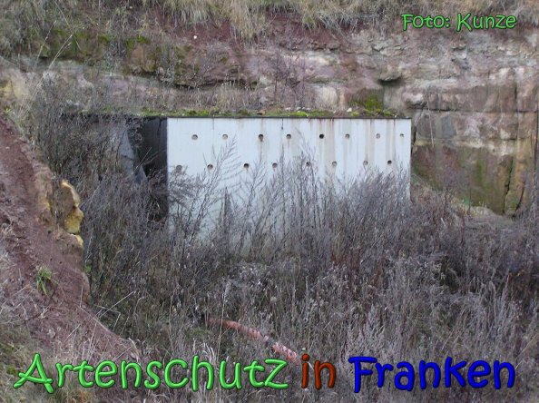Copyright AiS Gerhard Kunze Bild zum Eintrag (63104-160)