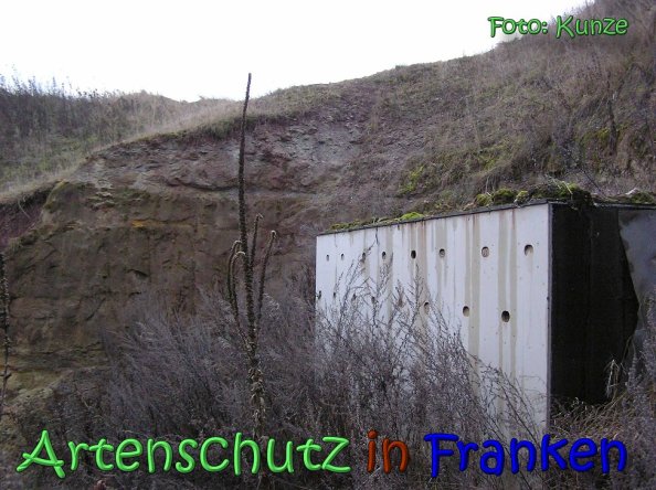 Copyright AiS Gerhard Kunze Bild zum Eintrag (63105-160)