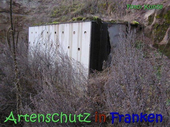 Copyright AiS Gerhard Kunze Bild zum Eintrag (63106-160)