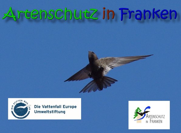 Copyright AiS Meyer Bild zum Eintrag (63471-160)