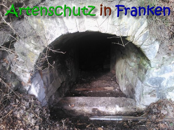 Copyright AiS - Oppel Bild zum Eintrag (63491-160)