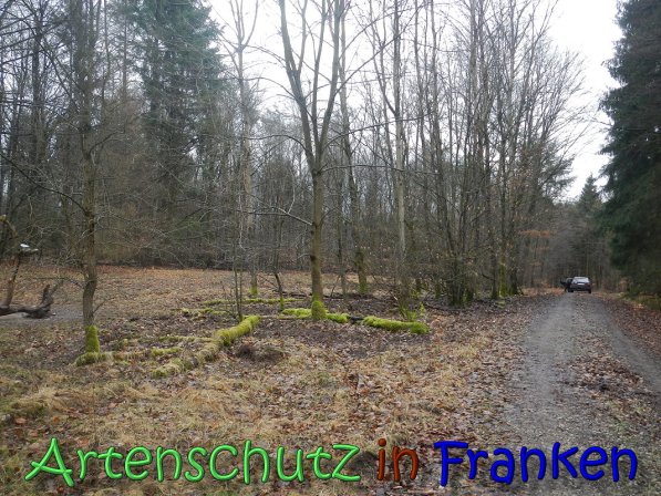 Bild zum Eintrag (63619-160)