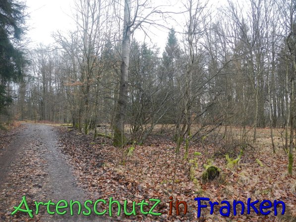 Bild zum Eintrag (63620-160)