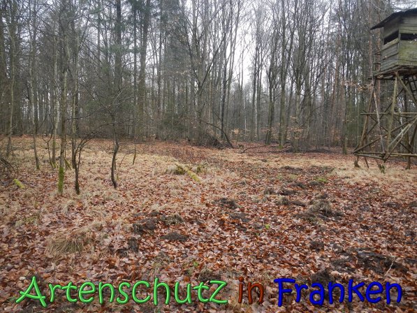 Bild zum Eintrag (63625-160)