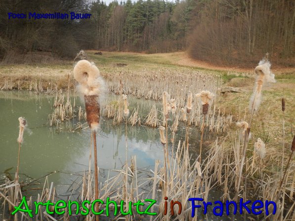 Copyright AiS Bauer Bild zum Eintrag (63795-160)