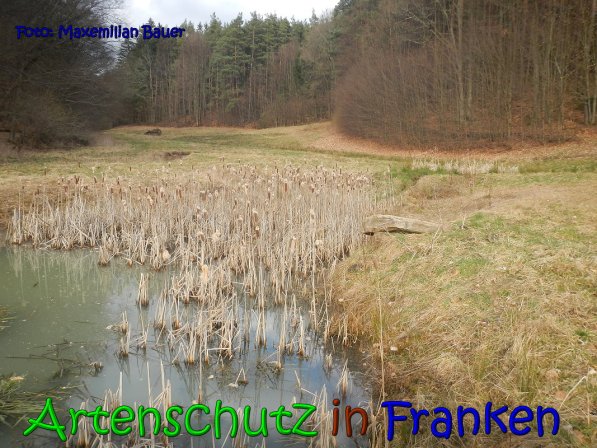 Copyright AiS Bauer Bild zum Eintrag (63796-160)
