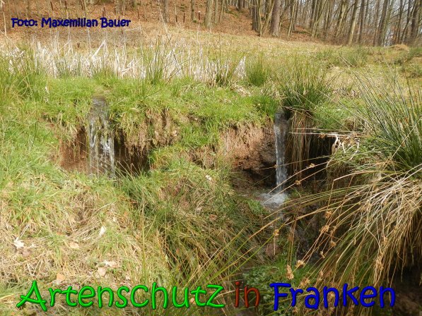 Copyright AiS Bauer Bild zum Eintrag (63797-160)