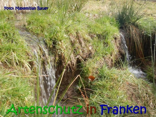 Copyright AiS Bauer Bild zum Eintrag (63798-160)