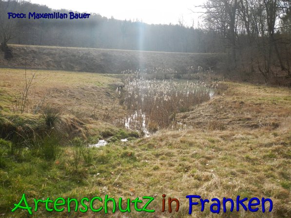 Copyright AiS Bauer Bild zum Eintrag (63800-160)