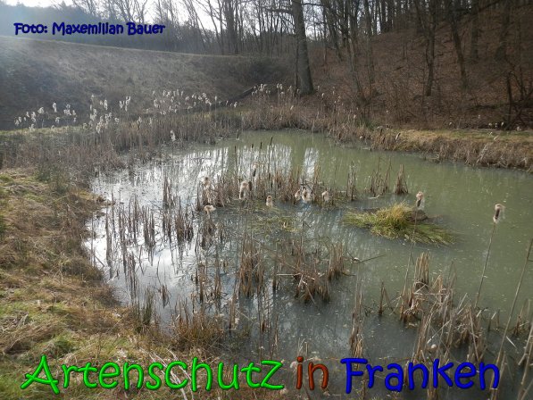 Copyright AiS Bauer Bild zum Eintrag (63801-160)