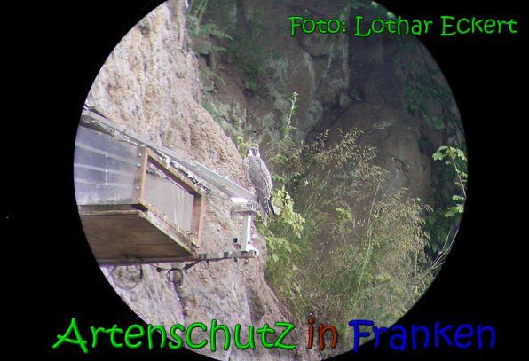 Copyright AiS Copyright AiS Lothar Eckert Bild zum Eintrag (63916-160)