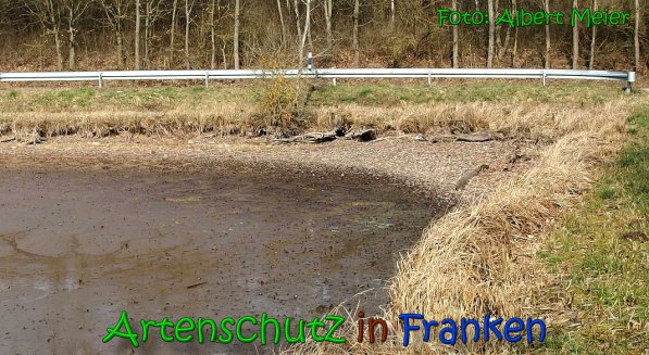 Bild zum Eintrag (63954-160)