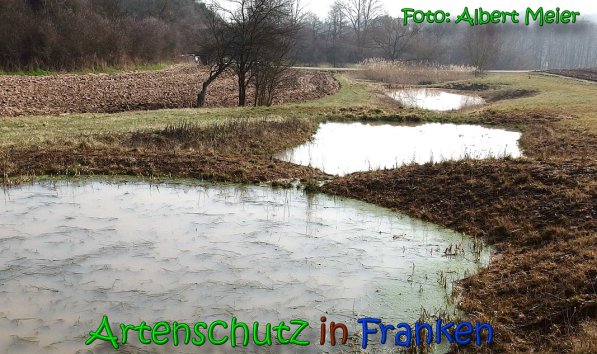 Copyright AiS Albert Meier Bild zum Eintrag (63956-160)