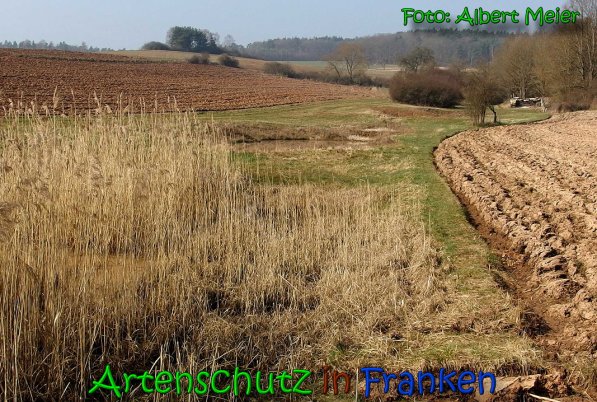 Copyright AiS Albert Meier Bild zum Eintrag (63957-160)