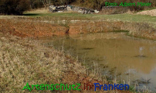 Copyright AiS Albert Meier Bild zum Eintrag (63959-160)