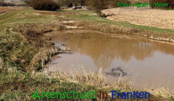 Copyright AiS Albert Meier Bild zum Eintrag (63962-160)
