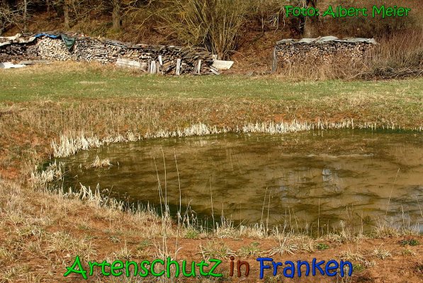 Copyright AiS Albert Meier Bild zum Eintrag (63963-160)