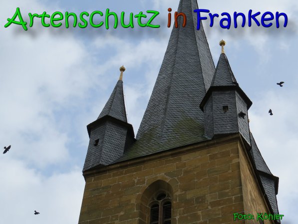 Copyright AiS Köhler Bild zum Eintrag (64009-160)