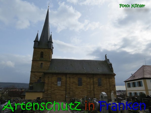 Copyright AiS Köhler Bild zum Eintrag (64010-160)