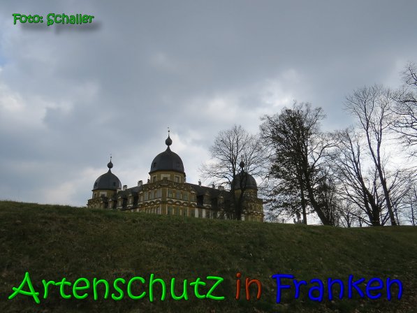 Copyright AiS Schaller Bild zum Eintrag (64086-160)