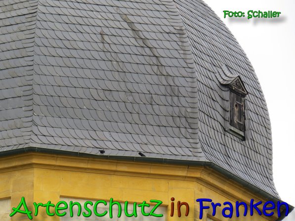 Copyright AiS Schaller Bild zum Eintrag (64091-160)