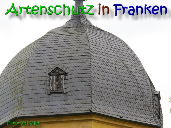 Copyright AiS Schaller Bild zum Eintrag (64093-160)