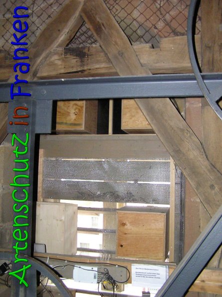 Copyright AiS Gerhard Kunze Bild zum Eintrag (64154-160)