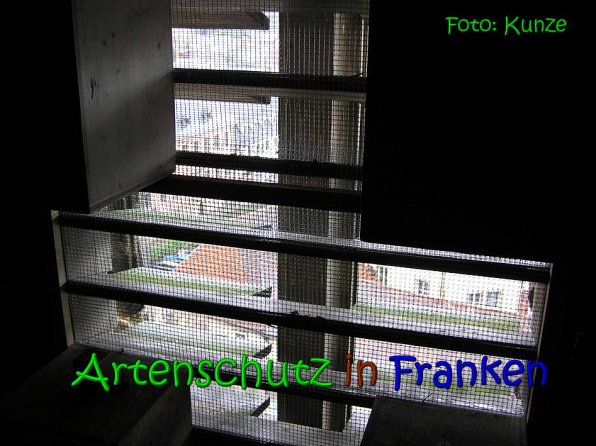 Copyright AiS Gerhard Kunze Bild zum Eintrag (64156-160)