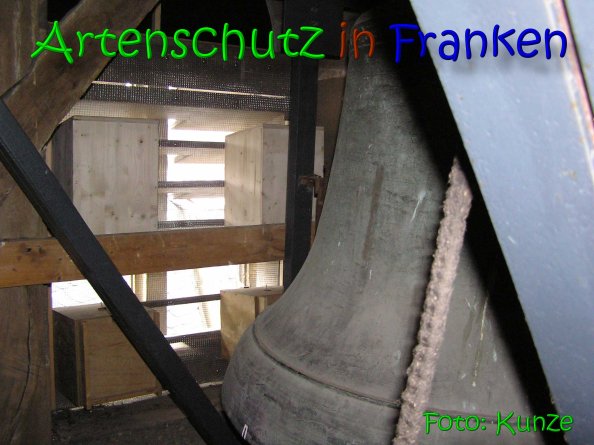 Copyright AiS Gerhard Kunze Bild zum Eintrag (64176-160)