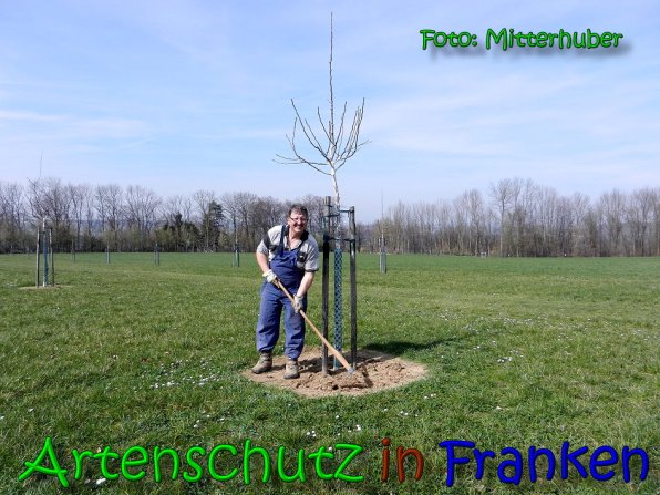Copyright AiS Walter Mitterhuber Bild zum Eintrag (64179-160)