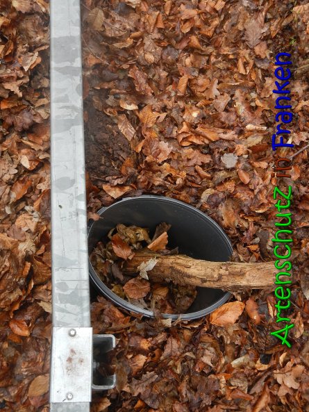 Copyright AiS Klaus Weidner Bild zum Eintrag (64184-160)