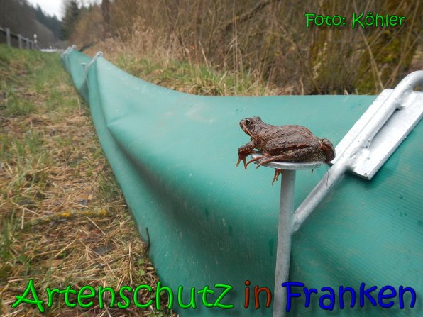 Copyright AiS Köhler Bild zum Eintrag (64189-160)