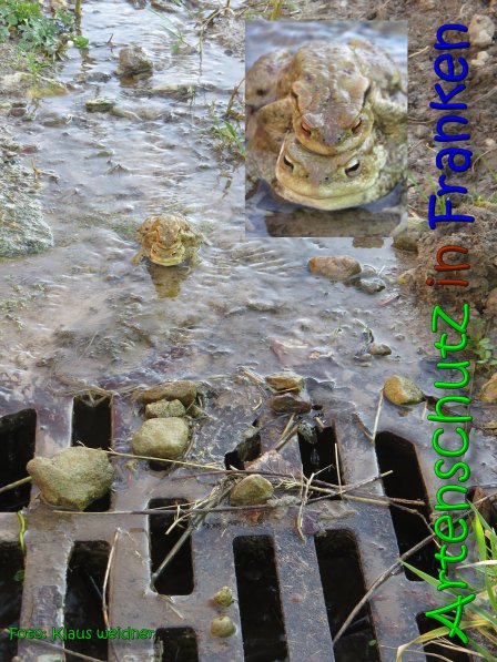 Copyright AiS Klaus Weidner Bild zum Eintrag (64194-160)